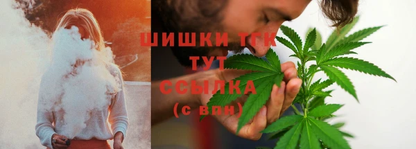spice Аркадак