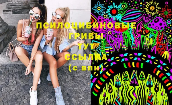spice Аркадак