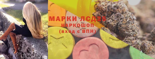 spice Аркадак